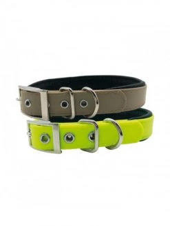 Collier Chien Double 45 Cm