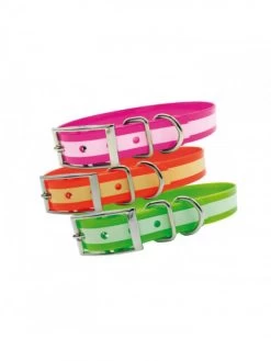 Collier Chien Phosphorescent 45 Cm