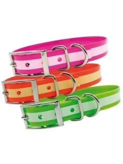 Collier Chien Phosphorescent 60 Cm