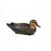 Colvert Femelle Magnum -Chasse en plein air colvert magnum femelle