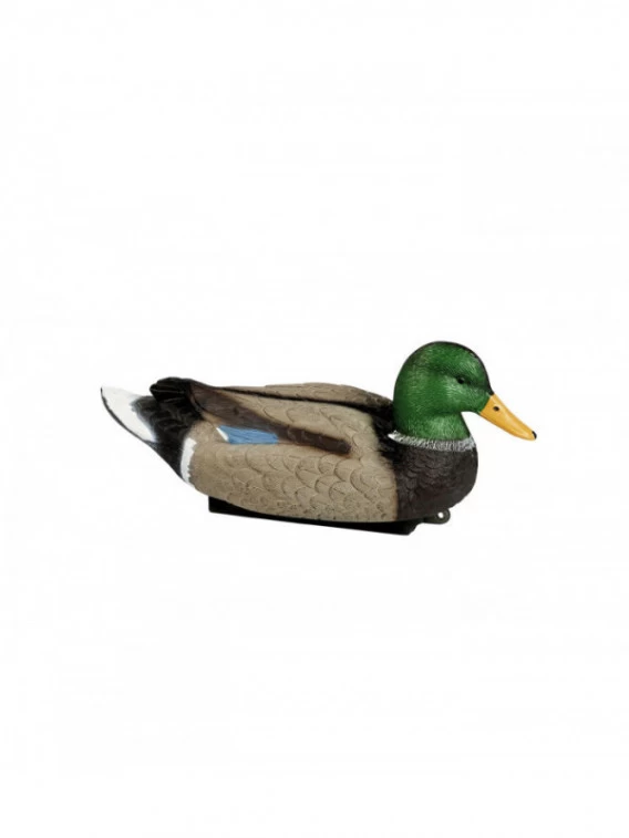 Colvert Mâle Magnum 3 Colvert Mâle Magnum