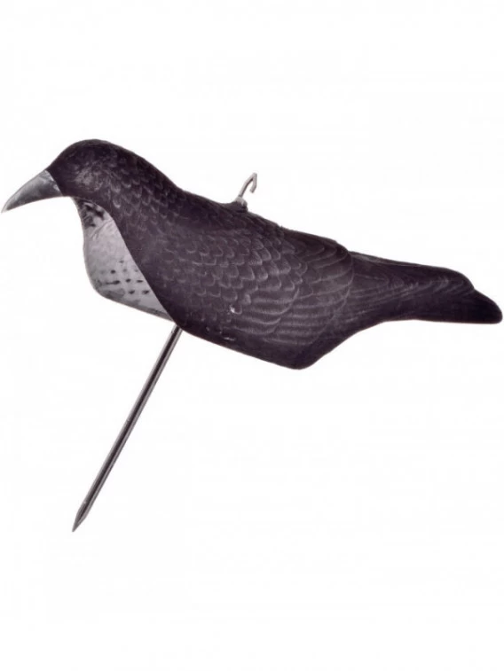 Corbeau Coque Magnum Floqué 3 Corbeau Coque Magnum Floqué