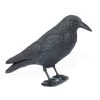 Corbeau Floqué 2 Corbeau Floqué -Chasse en plein air corbeau floque