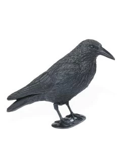 Corbeau Floqué