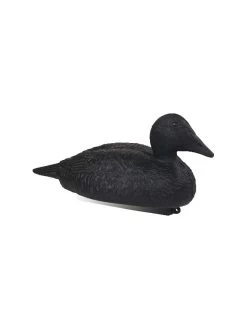 Eider Noir Moussé