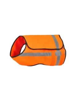 Gilet Sécurité Chien Chasse Orange Stepland