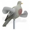 Pigeon Ailes Tournantes 1 Pigeon Ailes Tournantes -Chasse en plein air pigeon ailes tournantes