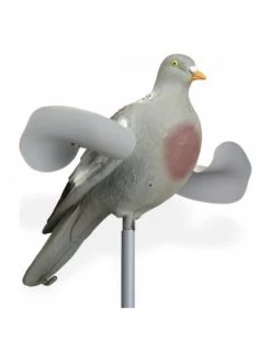 Pigeon Ailes Tournantes