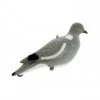 Pigeon Floqué -Chasse en plein air pigeon floque